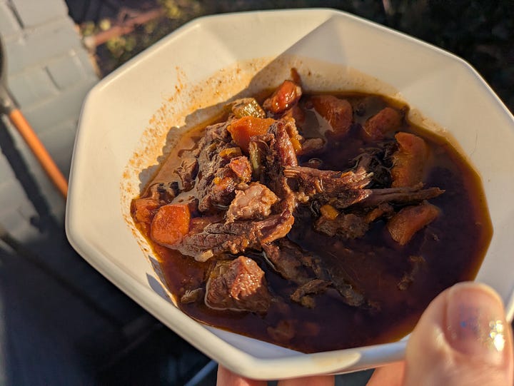 Braised beef and oxtail with veggies.