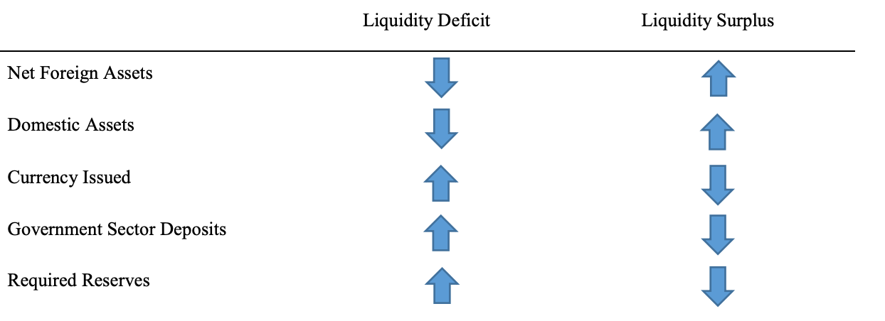 NEW MONETARY ANALYSIS TOOL (THE DAILY LIQUIDITY DATASET)