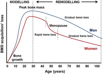 Bone Health & Osteoporosis – Causes, Prevention & Treatment