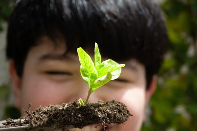 How To Equip Children To Become Environmental Champions
