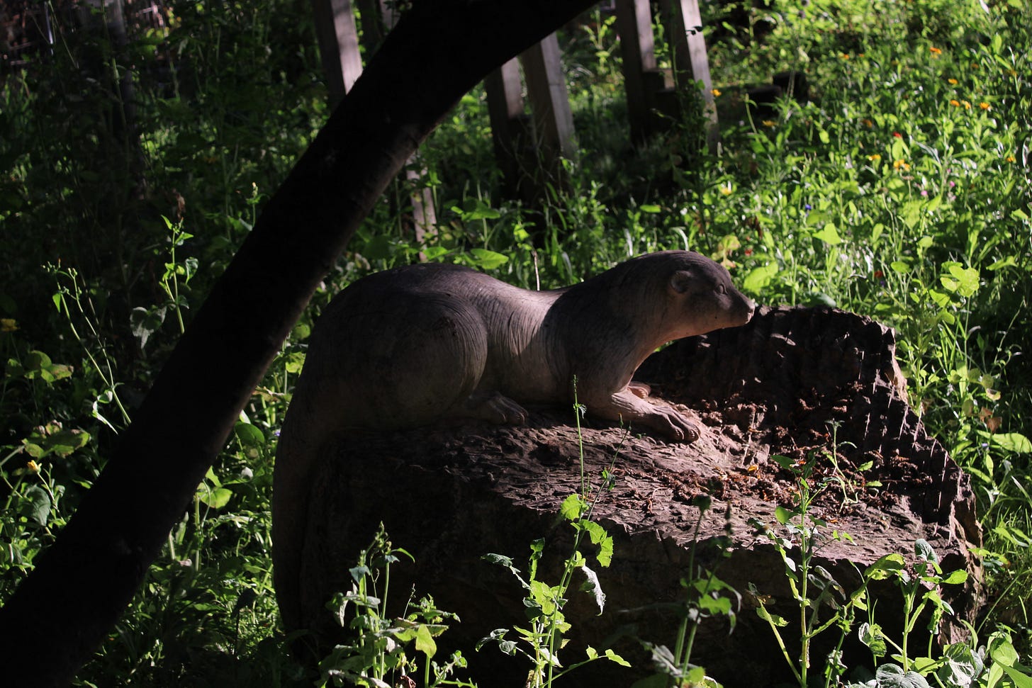 View of an otter statue in the garden area in City Island, London Borough of Tower Hamlets. View of an otter statue in the garden area in City Island, London Borough of Tower Hamlets.