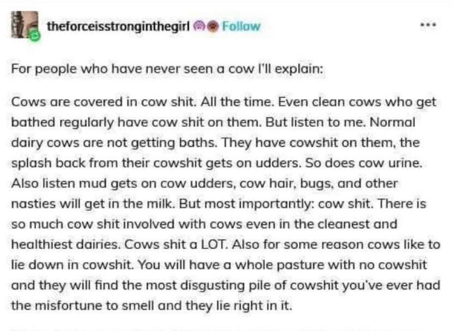 Cow shit. Wonkette One A Day for 2/5!