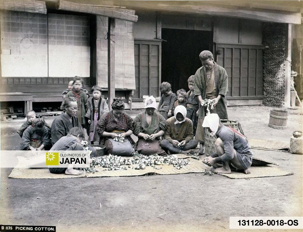 Japanese farmers cleaning cotton, ca. 1880s