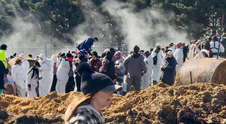 Police clash with animal rights activists during attempted beagle rescue • Wisconsin Examiner Police clash with animal rights activists during attempted beagle rescue • Wisconsin Examiner