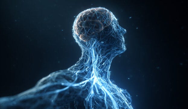 Imágenes de Neuroscience: descubre bancos de fotos, ilustraciones, vectores  y vídeos de 456,290 | Adobe Stock