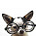 Diana Brewster's avatar