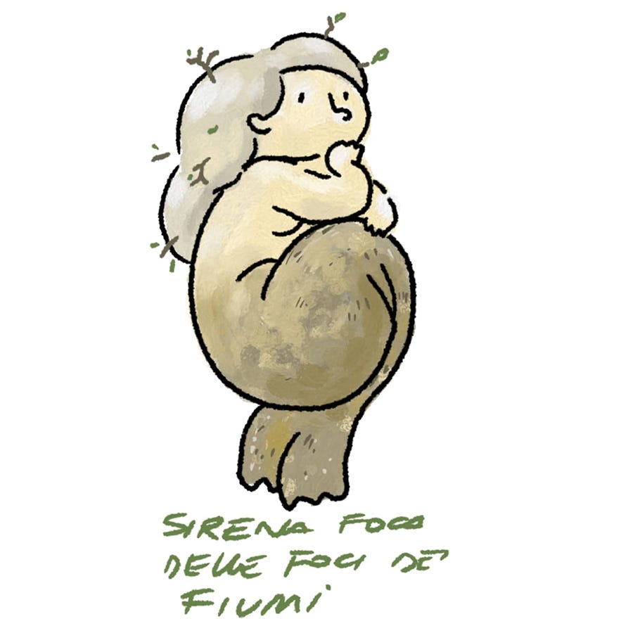 sirena foca
