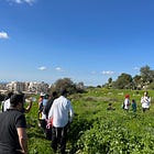 Booking Your Foraging Walk