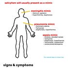 Adrenochrome & Schizophrenia; and the AHA! award for Accurate Health research.