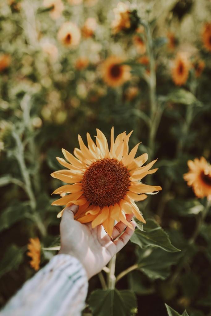 Designing Late Summer for Realignment - Returning to What Matters Designing Late Summer for Realignment - Returning to What Matters