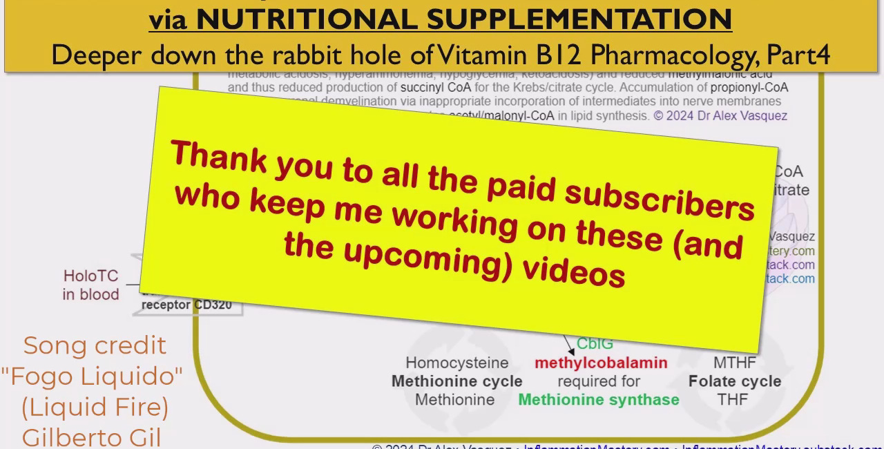 Anticancer Neuroprotective METABOLIC DETOXIFICATION (paradigm) from B12 Pharmacology (pt4)