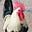 ArtChicken's avatar