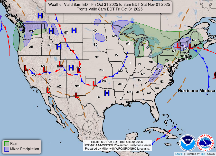 Day 2 image not available