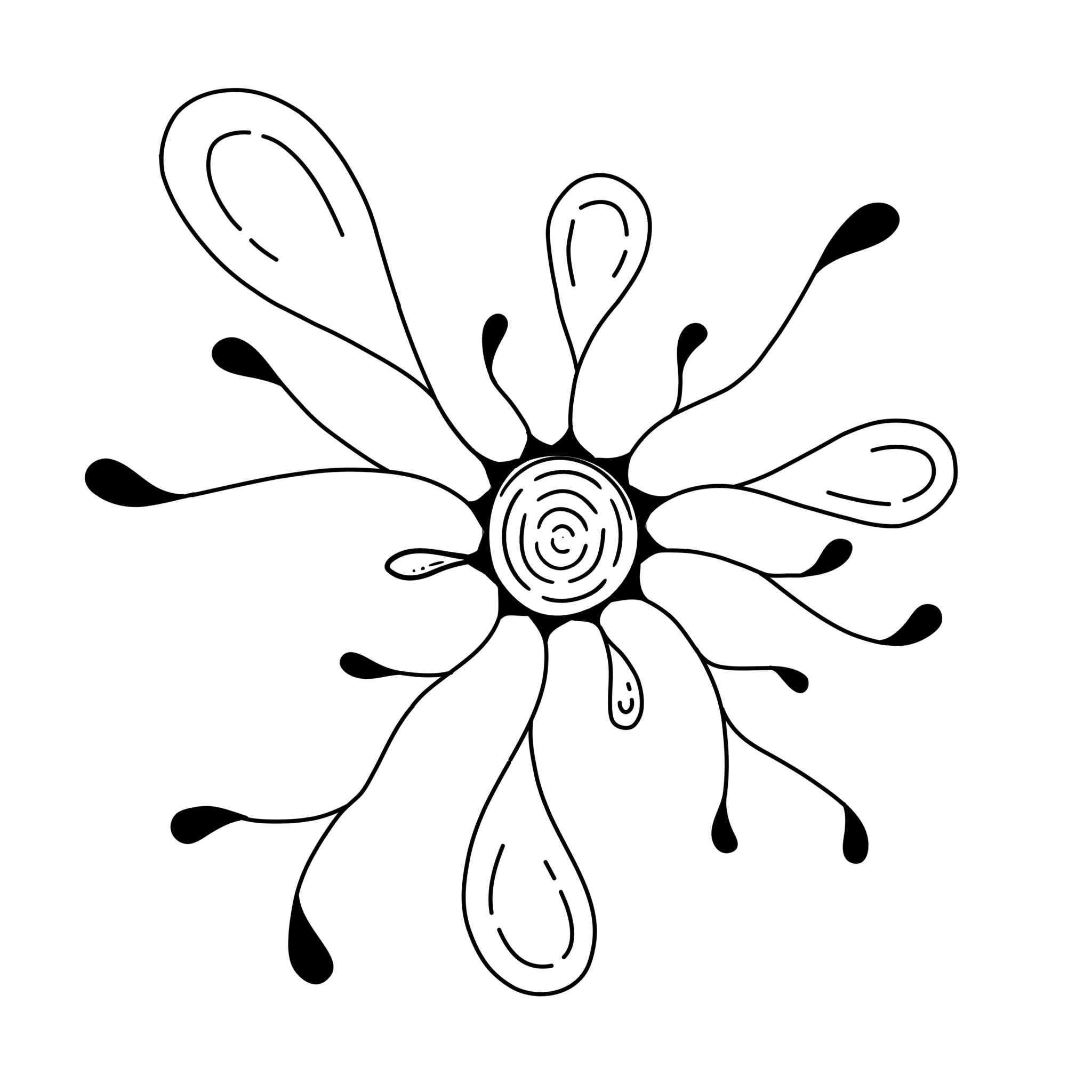 Animate Materials Workshop