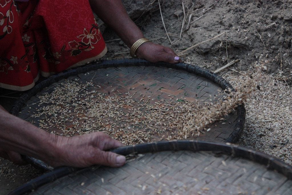 India: Traditional knowledge in Lepcha and Limbu communities (Kalimpong ...