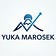 The Marosek Report: Japanese Stock Anomalies 