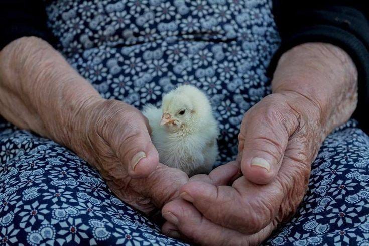 No photo description available. No photo description available.