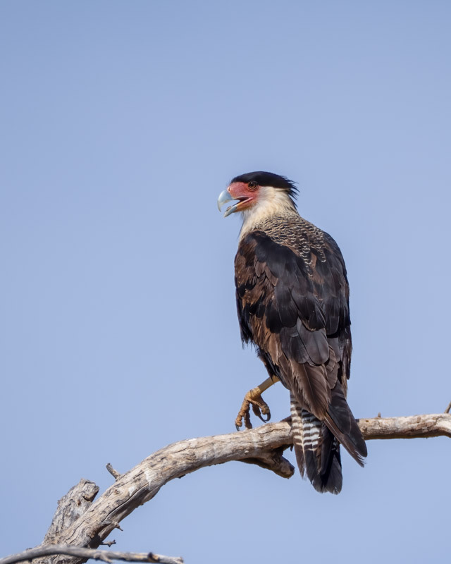 20250818-ElRio-282-Edit.jpg 20250818-ElRio-282-Edit.jpg