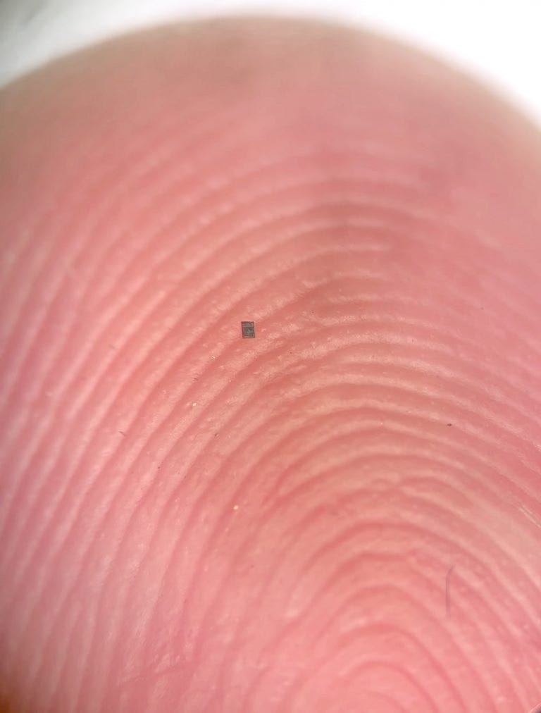 The world's smallest robot, which is a small black microchip smaller than a grain of salt, resting on someone's finger The world's smallest robot, which is a small black microchip smaller than a grain of salt, resting on someone's finger