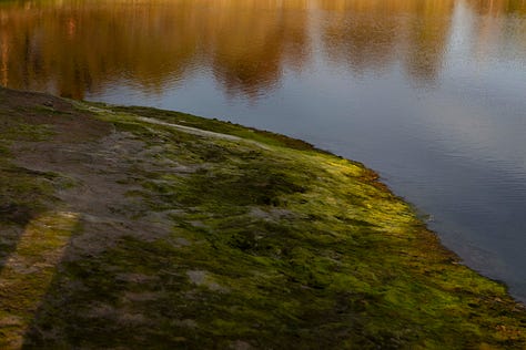 A photo essay made near the Colorado Lagoon in Long Beach, California