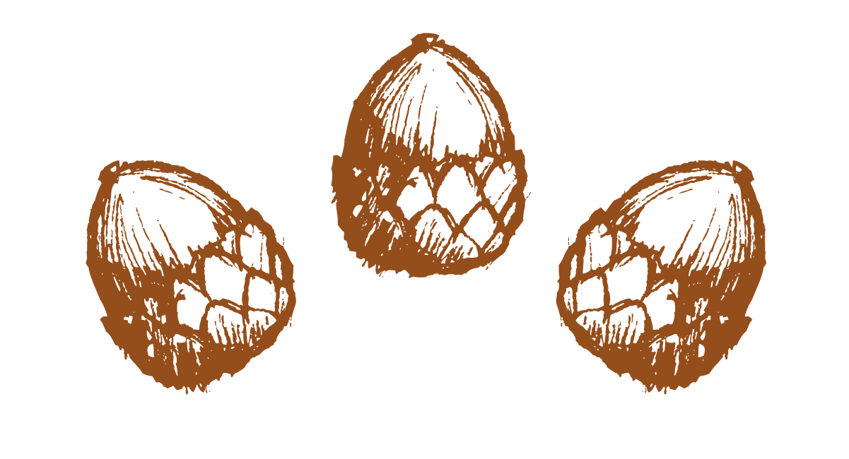 Meet an Indie Publisher: Heyday Books