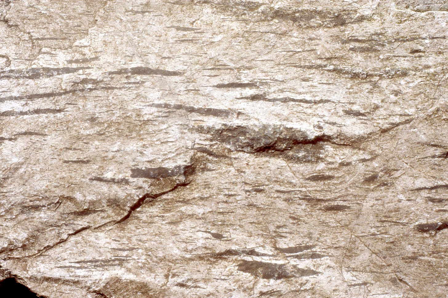 ignimbrite, Glyder Fawr, Snowdonia ignimbrite, Glyder Fawr, Snowdonia