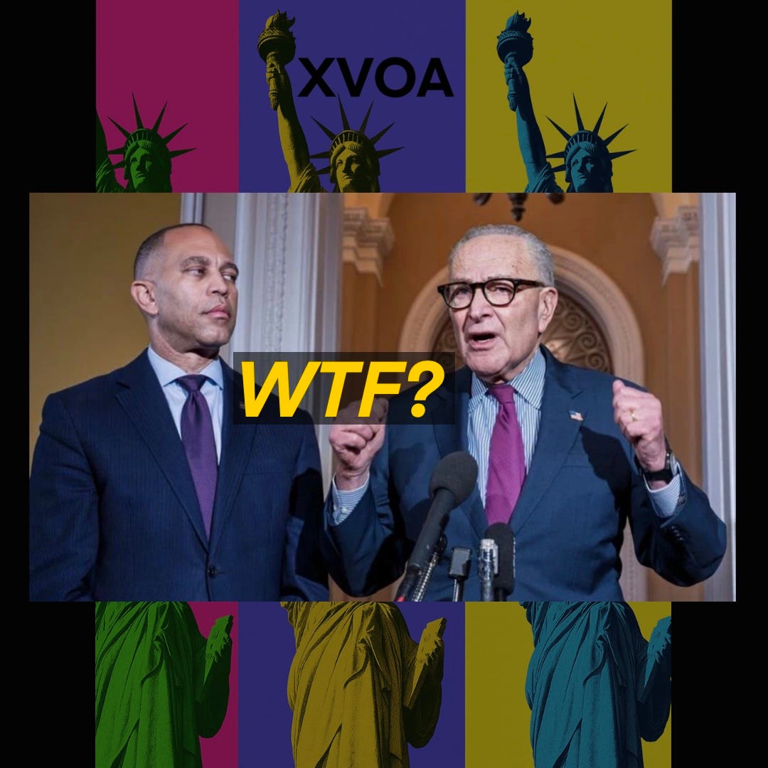 Two lawmakers at the Capitol; older man,Senate Minority Leader Schumer, speaks at mics, younger colleague, House minority leader Jeffries, looks on. Big yellow ‘WTF?’; ‘XVOA’ header with Liberty tiles.