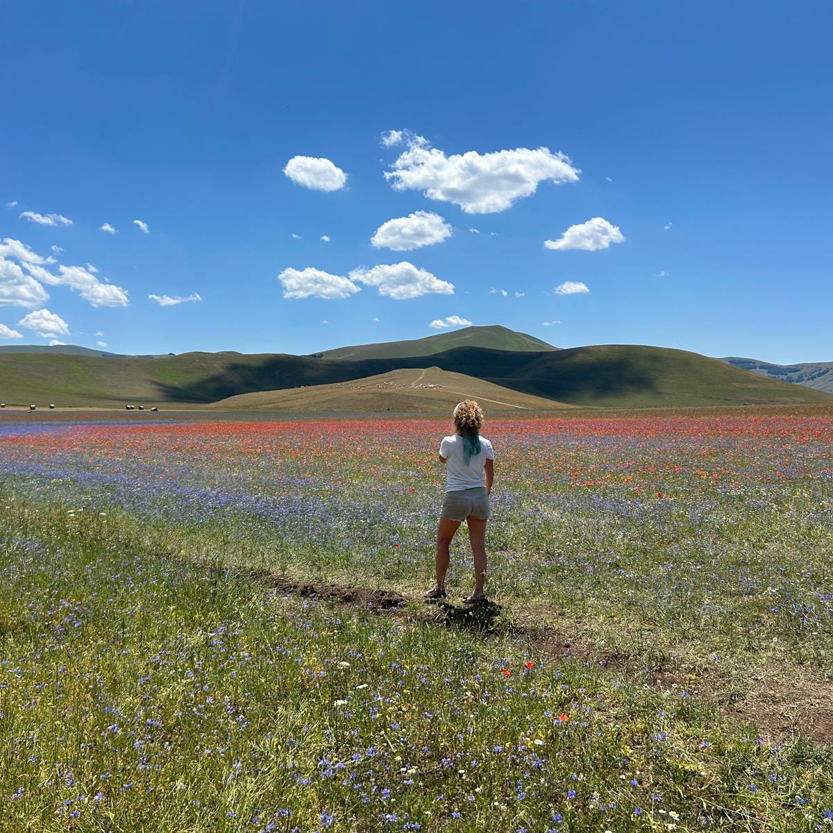 Someplace In Between