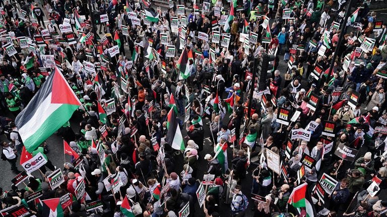 Two women face terror charges after paraglider images displayed at pro-Palestine  march in London | UK News | Sky News