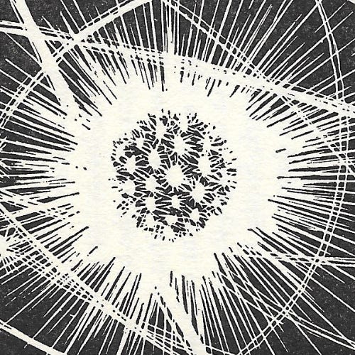 The Atomanaut's Almanac