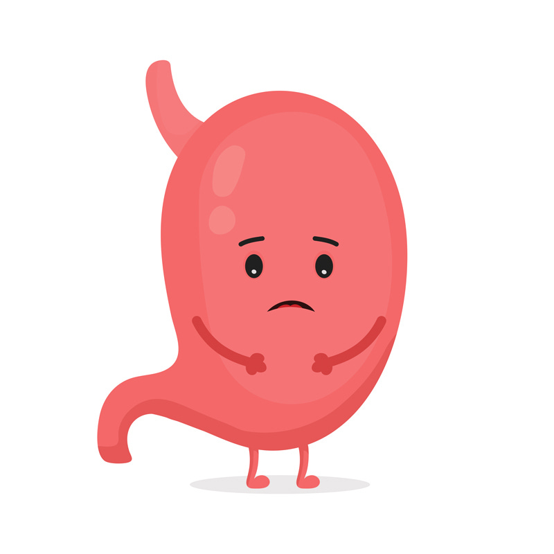 Your Stomach in Knots: How Stress Affects Gut Health | ELM™ | Maine
