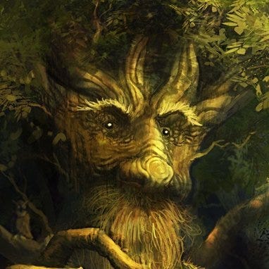 The Woods by Mr Tree