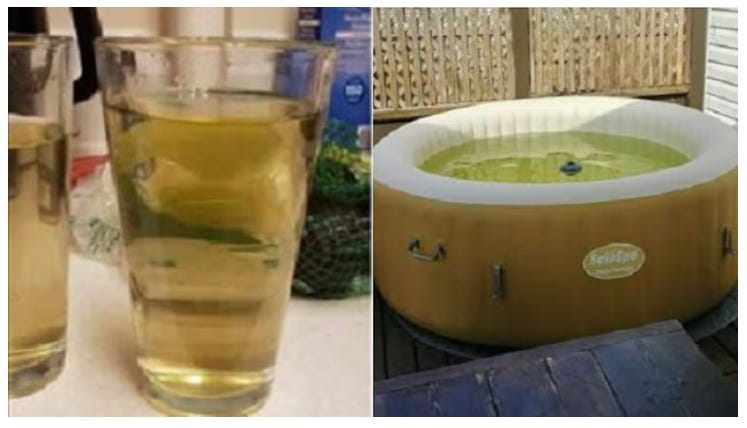 Cup of yellow/brown water and above ground pool with yellow water. Cup of yellow/brown water and above ground pool with yellow water.