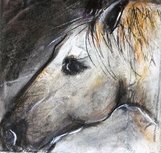 Horse 5 Horse 5