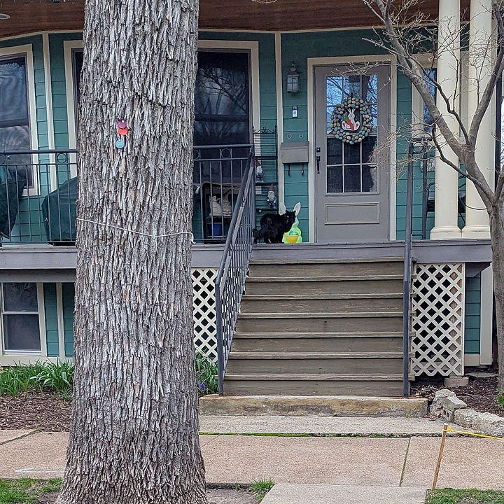 A one-eyed black cat angrily sits on a colorful stoop