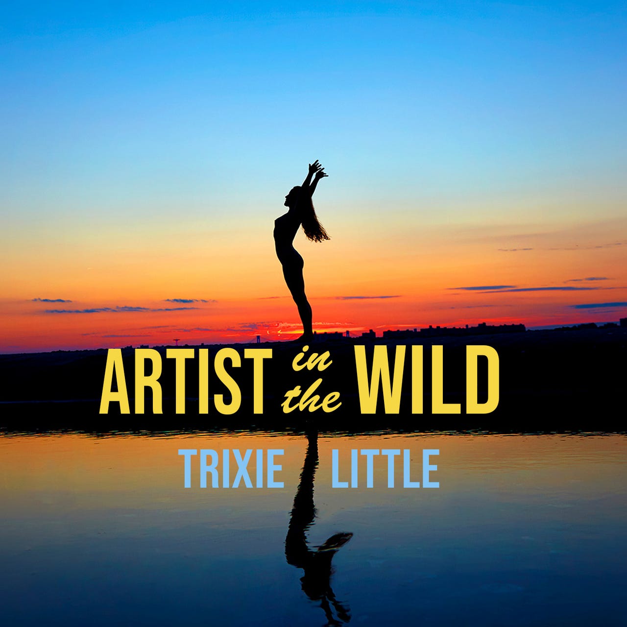 Artist in the Wild