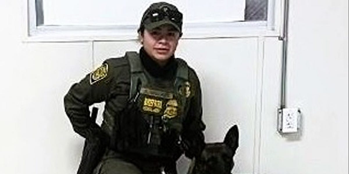 US Border: Drug Busts Up; Alien Busts Down