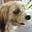 Wendy Beacall's avatar