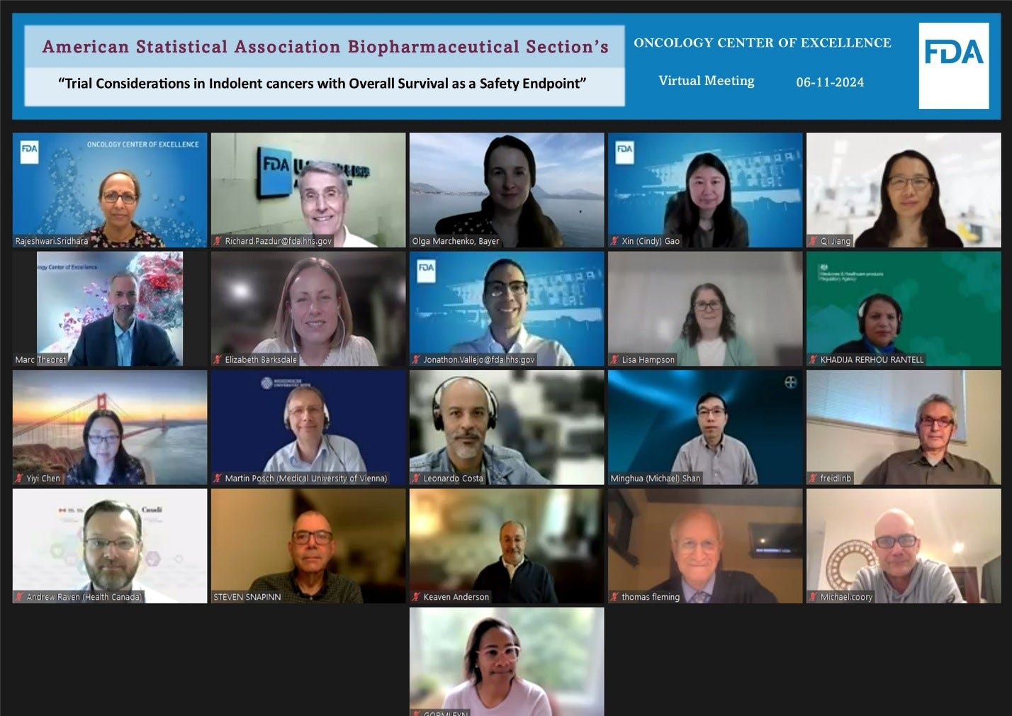 A screenshot of a video conference

Description automatically generated, Picture