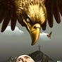 Eric Zhang's avatar