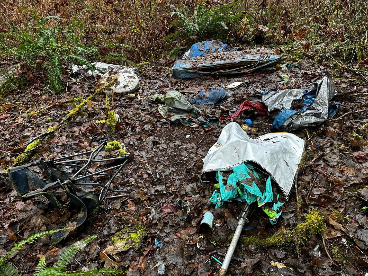 A pile of garbage in the woods

Description automatically generated