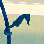 毎日Crypto News  ~仮想通貨, ブロックチェーン, NFT, DeFi~