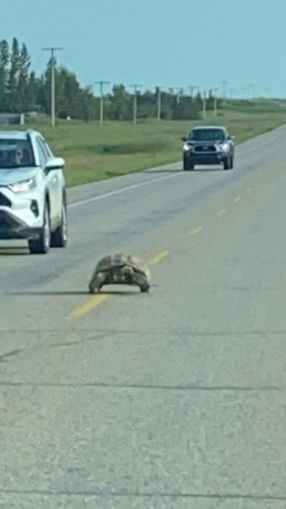 Look at this photograph