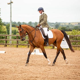 Dressage competitors dazzle at Ardnacashel