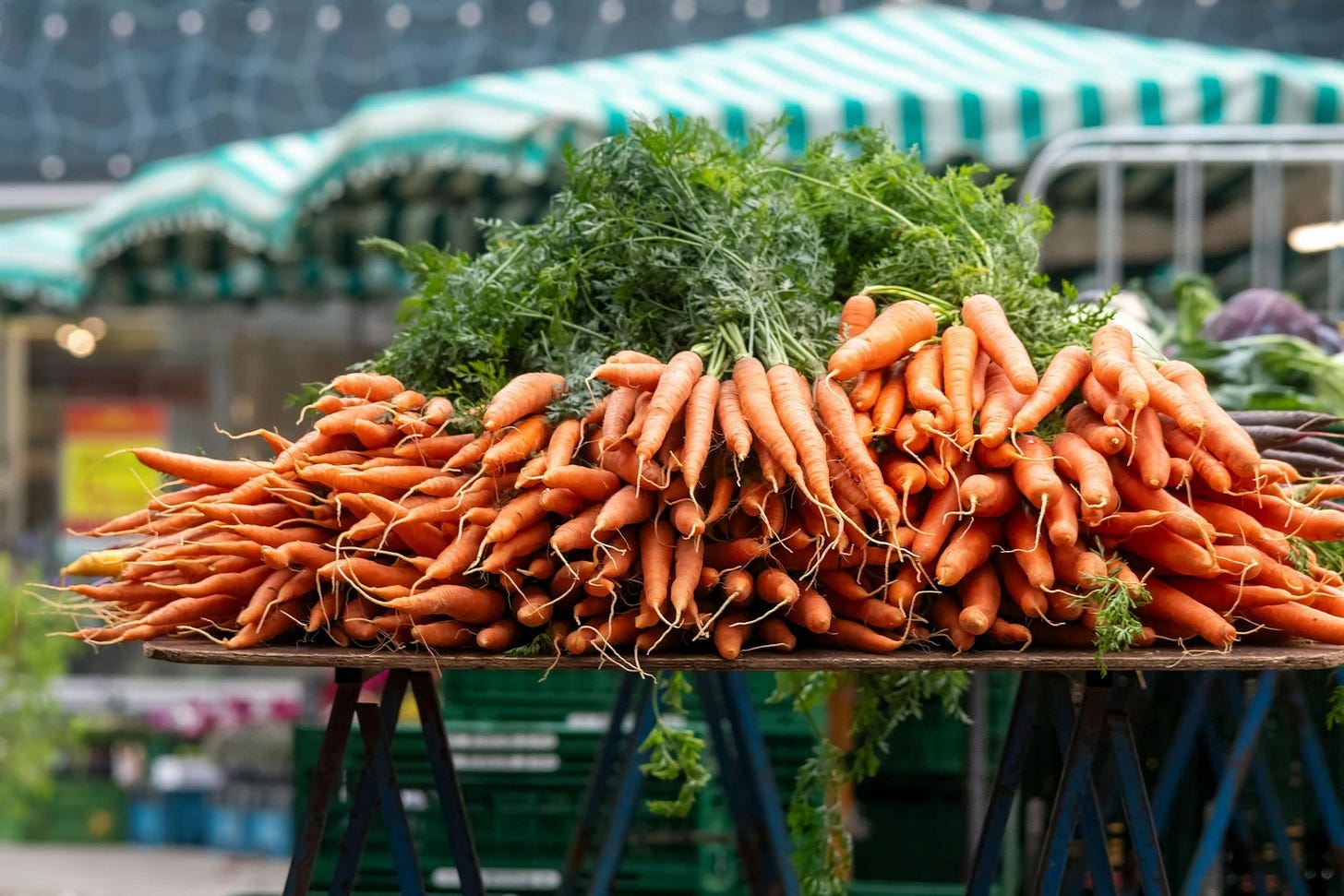 carrots.jpg carrots.jpg