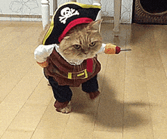 Cats And Dogs GIFs - Find & Share on GIPHY