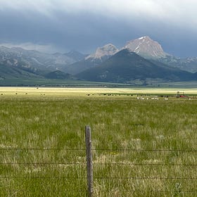 Bear deterrent hike part 2