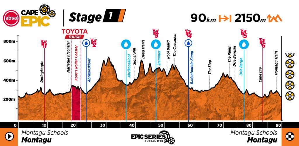 ACE26_Profiles_v4_Stage-1