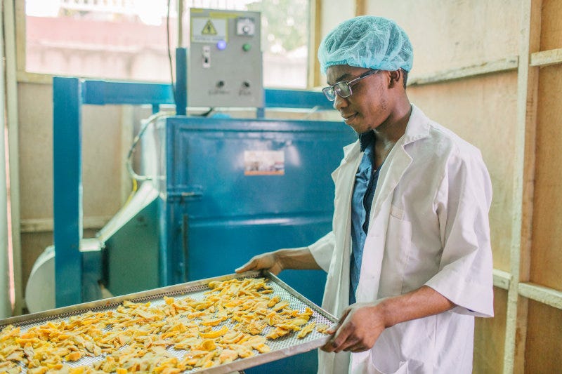 A ReelFruit employee at the company's production facility. A ReelFruit employee at the company's production facility.