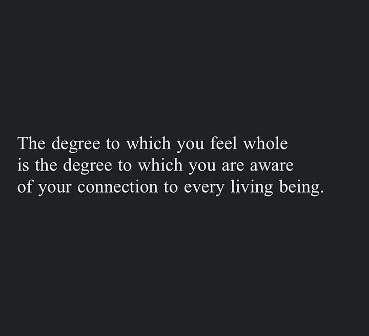 Image on the left says, "The degree to which you feel whole is the degree to which you are aware of your connection to every living being." Image on the right says, "I don't want to feel better; I want to know better. I should have known that God is not in the meal but in the sharing of the meal. I should have told you that holiness resides in needing each other, in acts of survival made generous."